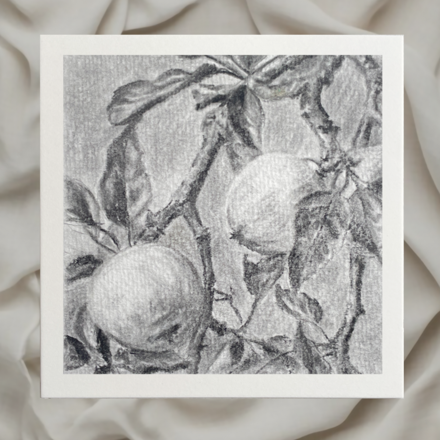 classical tonal study of two fruits on a tree branch by emerging london artist halima khanum. drawing wiwth white border set against fabric rippled background