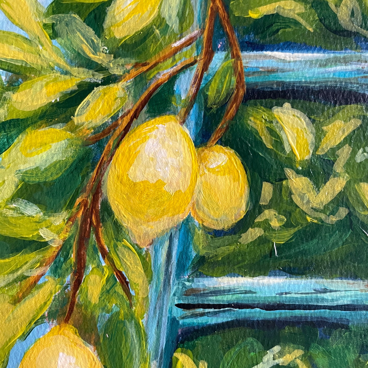 2 lemons on plant hanging by a blue lader 