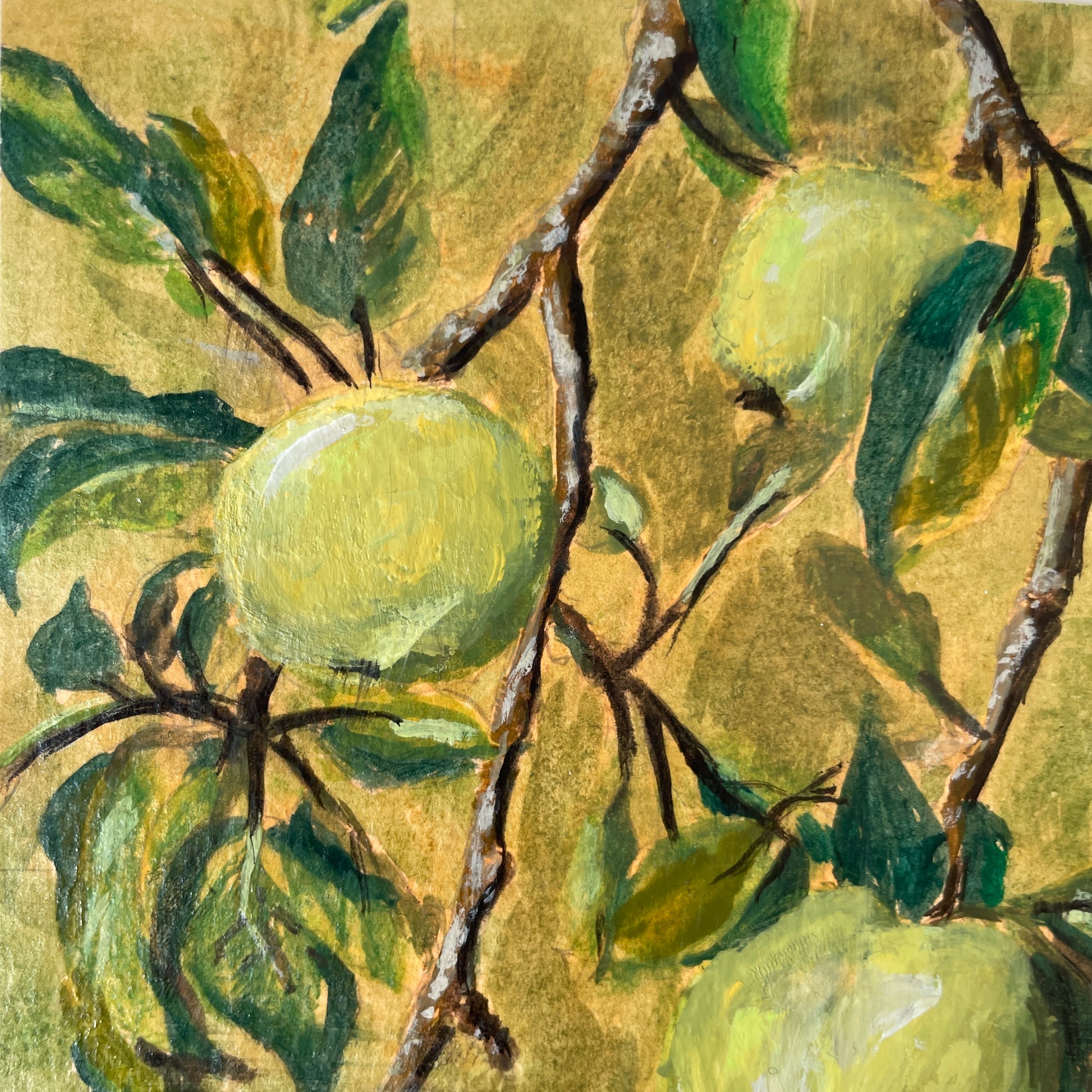 close up of painting of green fruit on a branch with leaves